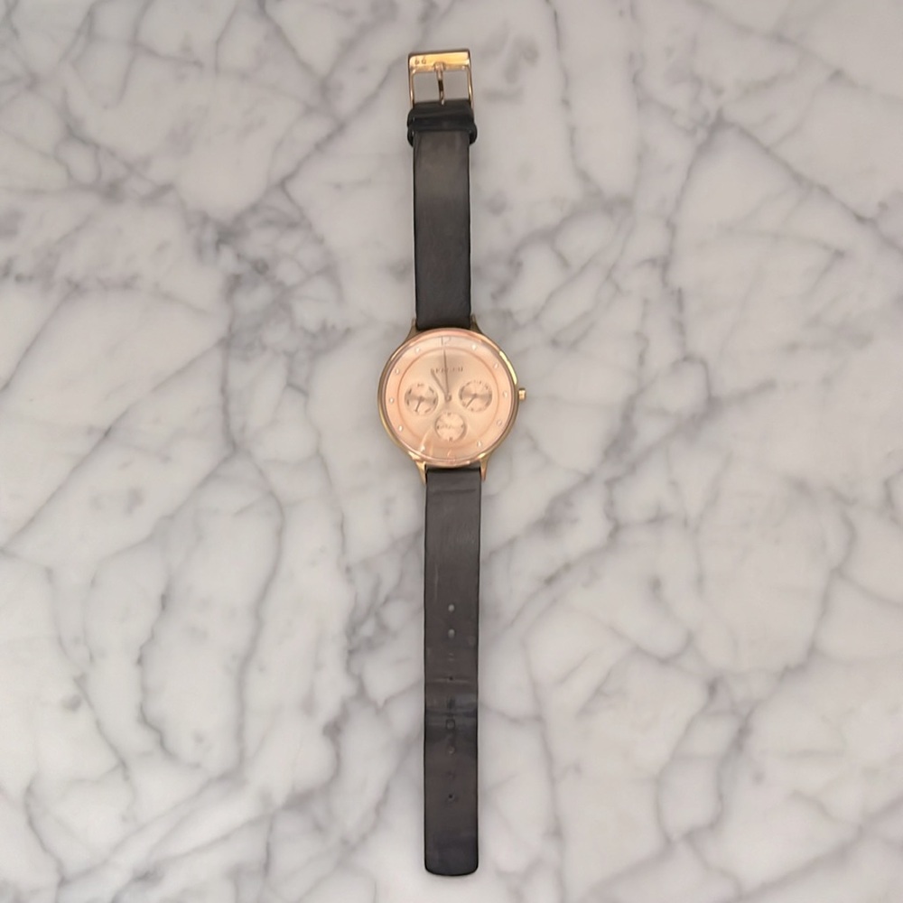 Skagen Watch